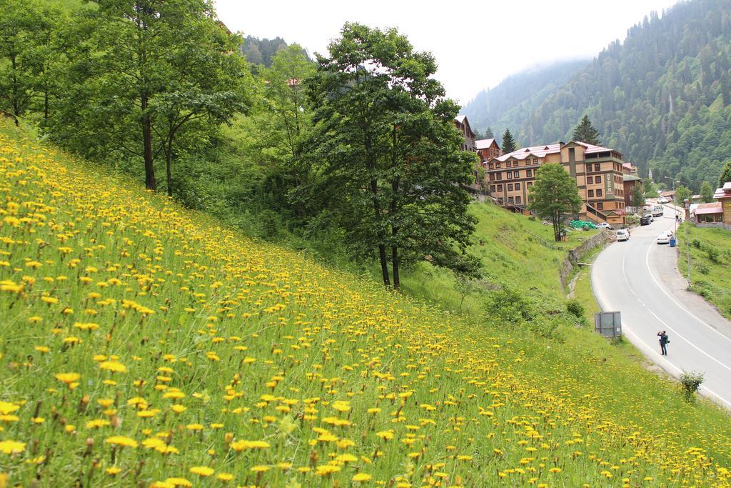 Ayder Resort Hotel Rize Exterior photo